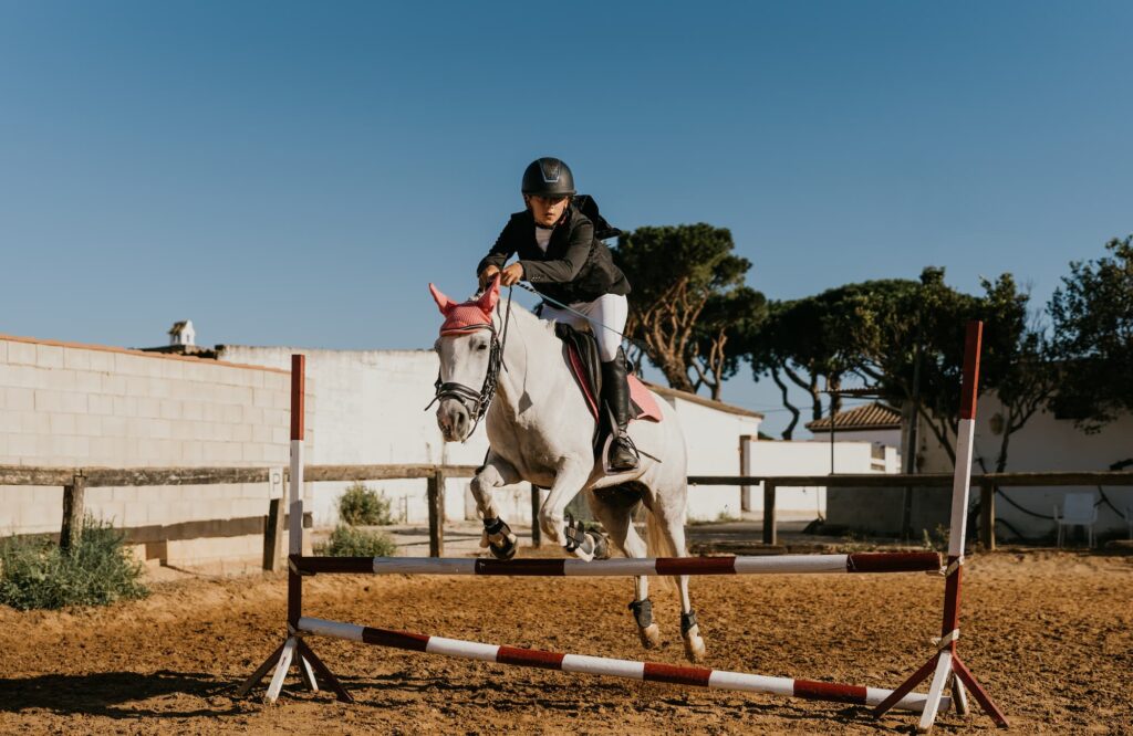 Rider trying horse at European showjumping stable